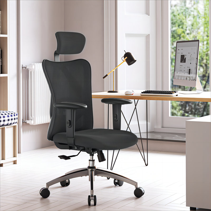 Ebern Designs Ashendon Ergonomic Mesh Task Chair With Headrest